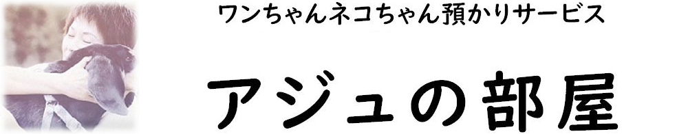 ようこそ、アジュの部屋へ